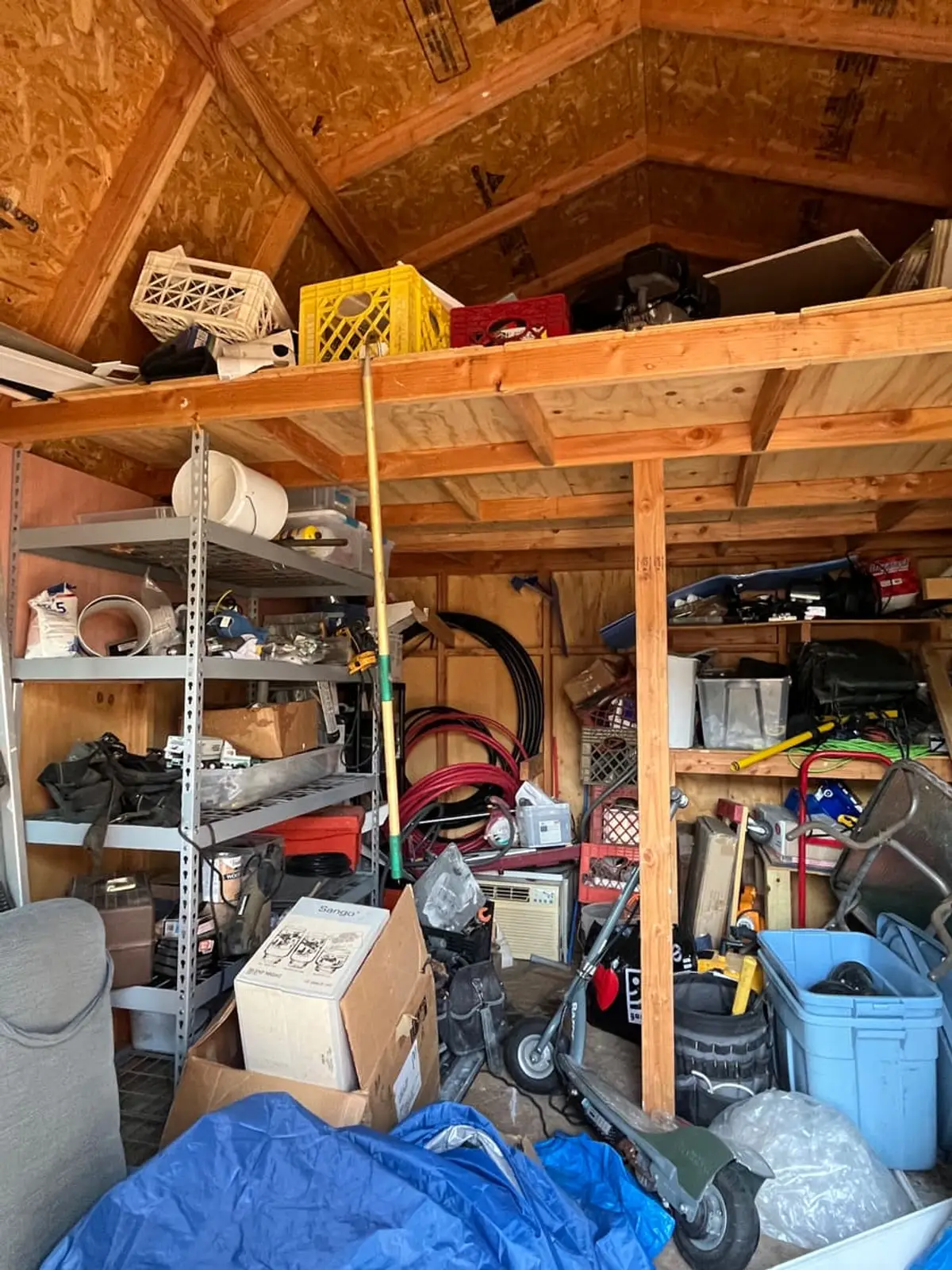 Selling a hoarder house in Ronkonkoma: backyard shed packed floor to rafters with tools and bins